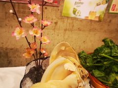 -鲜入围煮花胶鸡海鲜火锅