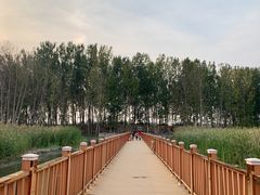 -白洋淀景区
