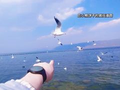 -大理洱海