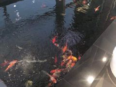 -上海星瀚奔驰4S店(长寿路店)