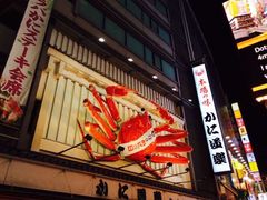 -蟹道乐(道顿堀本店)