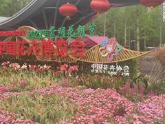 -东平国家森林公园