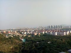 -示范集贸市场