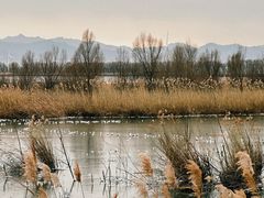 -野鸭湖国家湿地公园