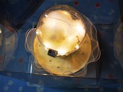 -糕小爱·动物奶油生日蛋糕定制(昆山总店)