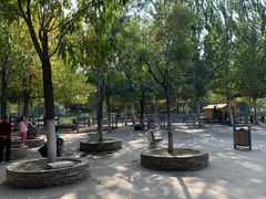 -长白岛森林公园