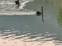-森波拉火山温泉