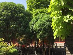 -兴教寺