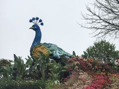 -东莞植物园