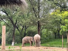 -北京野生动物园