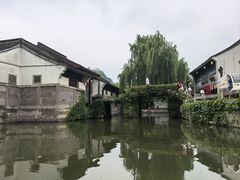 -鲁镇