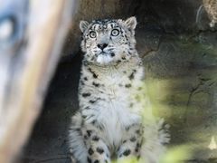 -青藏高原野生动物园
