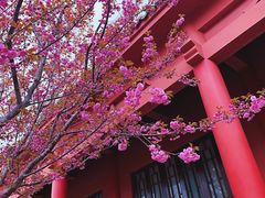 -石岛赤山风景区