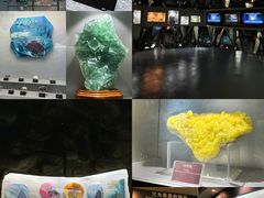 -甘肃地质博物馆