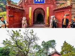 -大槐树寻根祭祖园