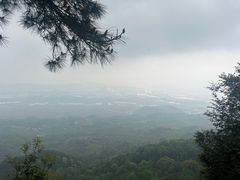 -铁山坪森林公园