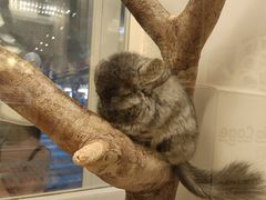 -龙猫仔乐园(惠福东路店)