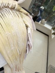 -a·f one hair salon