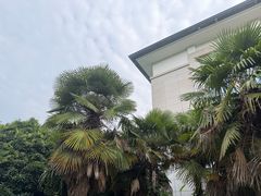 -河南省黄河迎宾馆