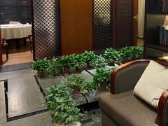 -梧桐餐厅(泉城路店)
