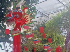 -北京植物园-展览温室