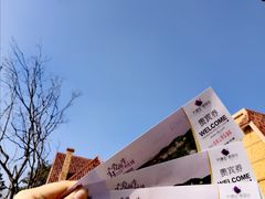 -大塘金香草谷
