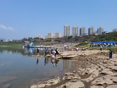 -金海湾滨江公园