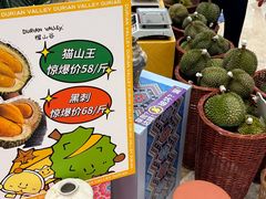 -友谊阳光城