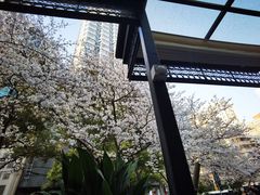 -玛格萝妮比萨屋(四平店)