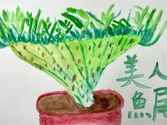 -甲乙果 美术书法(通州校区)