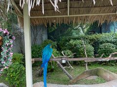 -齐齐哈尔龙沙动植物园