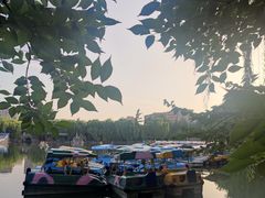 -团结湖公园