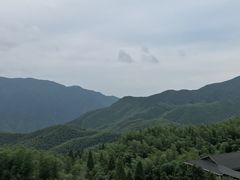 -江南天池