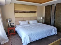 -青岛得宝湾维景国际大酒店(五四广场奥帆中心店)