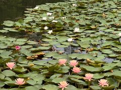 -白鹭湾湿地公园