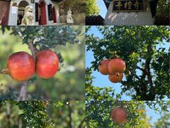 -青檀寺景区