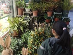 -FEI FEI FLOWER鲜花店·气球派对·宝宝宴布置(虹口德必运动Loft店)