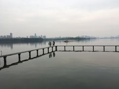 -武汉大学-樱园