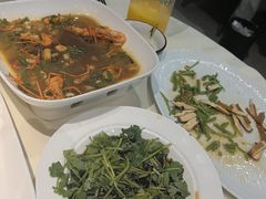 -丁老爷子苏香圆
