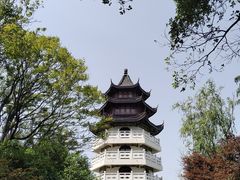 -扬州市茱萸湾风景区