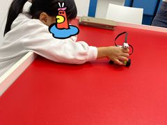-童程童美·信息学竞赛·乐高机器人编程(龙华校区)