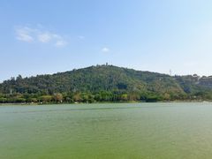 -顺峰山公园