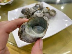 -红海湾豪记海鲜大排档