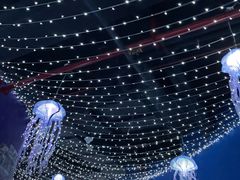 -江和美海洋公园