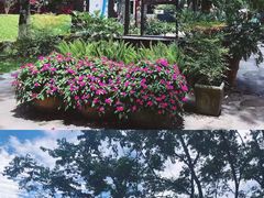 -瑞穗牧场