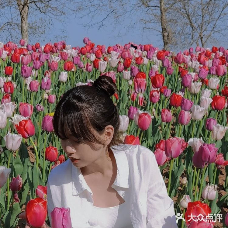 烟台郁金香🌷:和阿姨们抢夺最美拍照机位