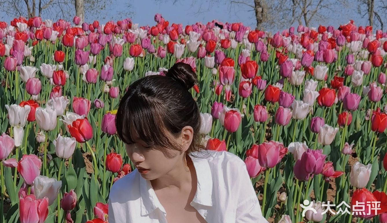 烟台郁金香🌷：和阿姨们抢夺最美拍照机位