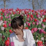 烟台郁金香🌷：和阿姨们抢夺最美拍照机位
