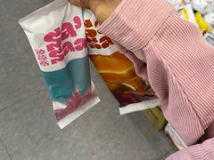 -洋洋爸雪糕(万科店)