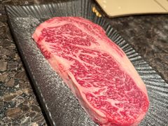 -老乾杯(深圳湾万象城店)